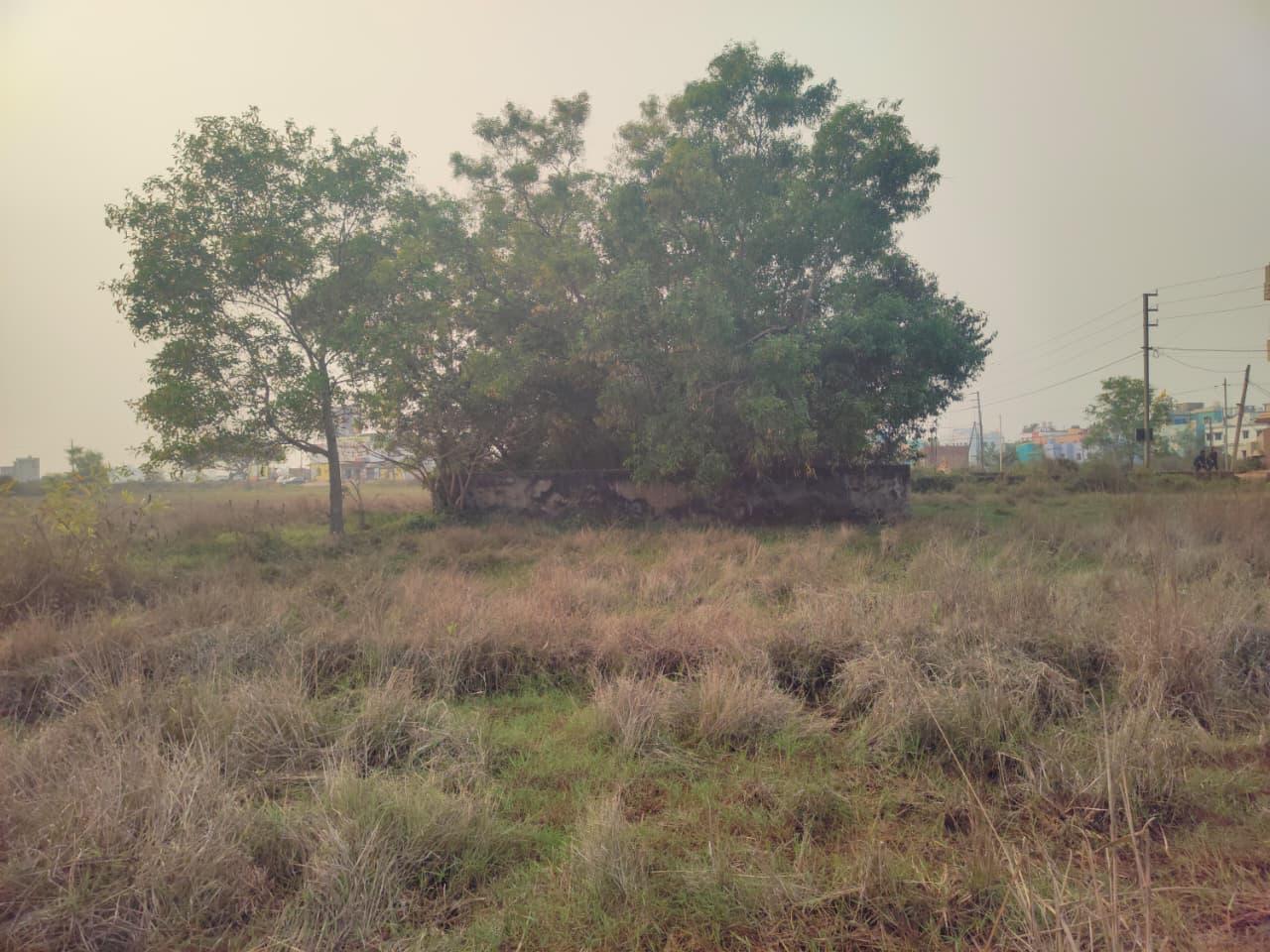 2,400 sq.ft Residential Land in BADARAGHUNATHPUR, Khordha