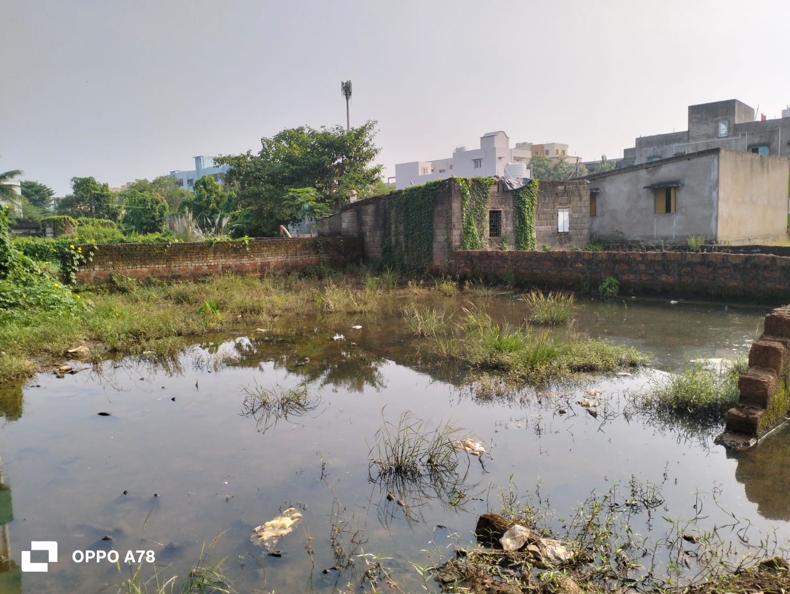 1,830 sq.ft Residential Land in PATRAPADA, Khordha