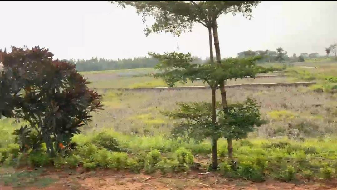 2,000 sq.ft Residential Land in Nakhara, Cuttack