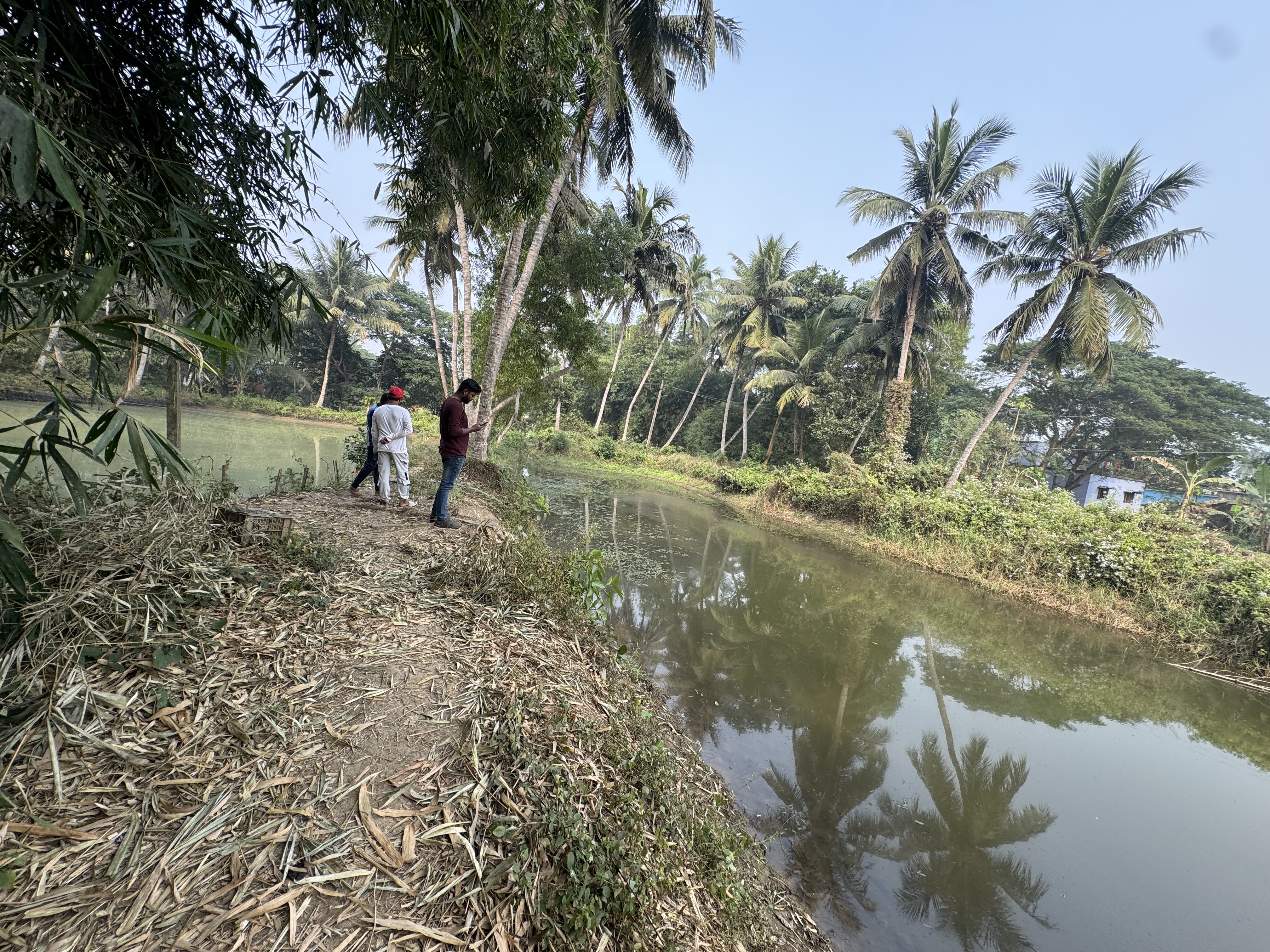 10,300 sq.ft Residential Land in Kaijanga, Khordha